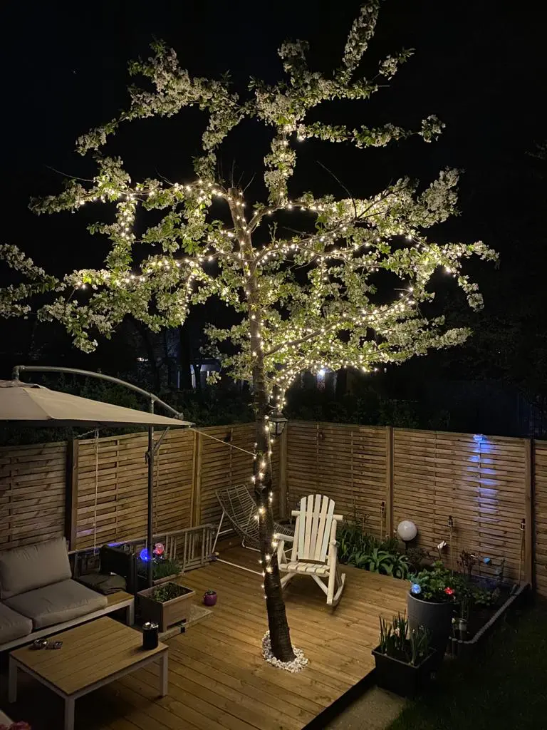 Weiter-Leistungen-34